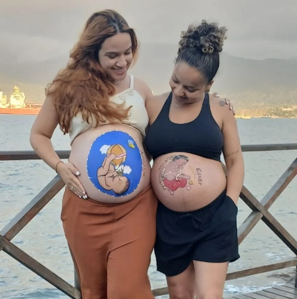 Centro Gestacional Harmonia para a Vida