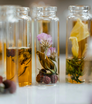 Centro Gestacional Harmonia para a Vida